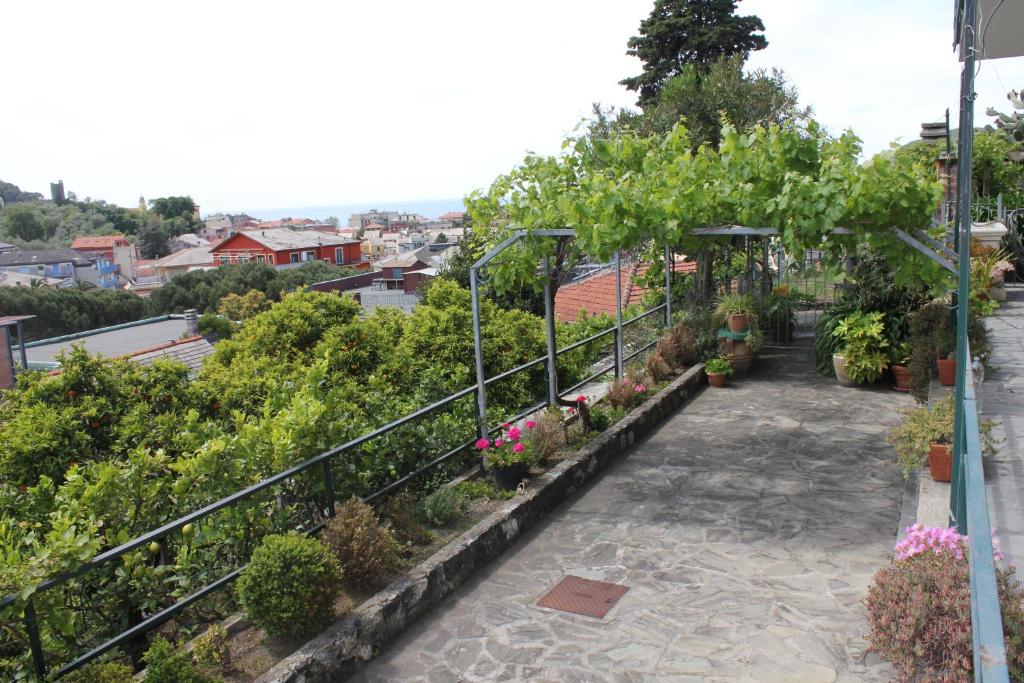 A garden outside Primario