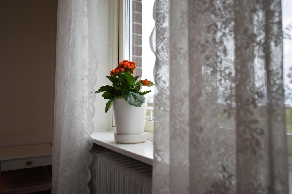 Fotografie z fotogalerie ubytování Bläsinge Gård Kullabygden v destinaci Jonstorp