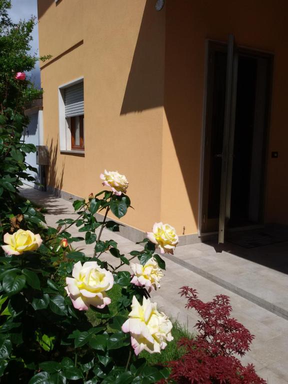 a bunch of yellow roses in front of a building at Villa Al Sole in Mestre