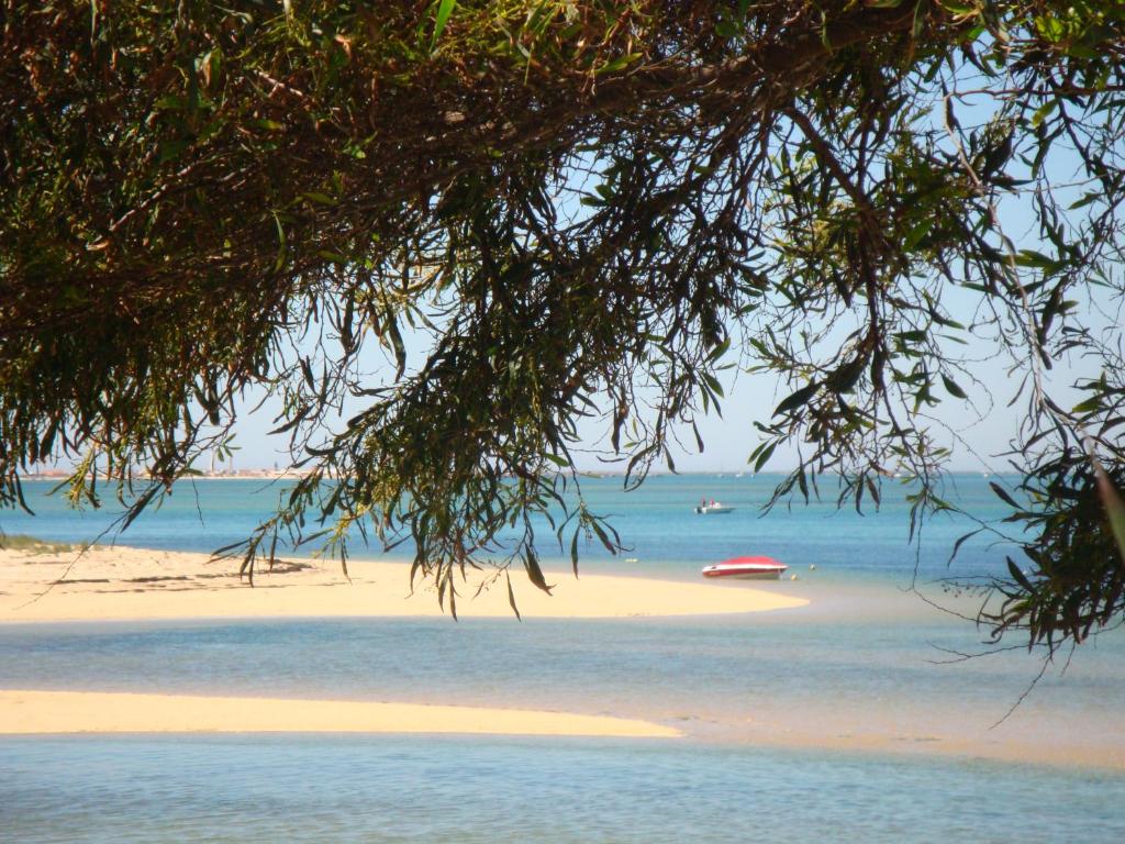 uma praia com um barco vermelho na água em Orbitur Ilha de Armona em Olhão