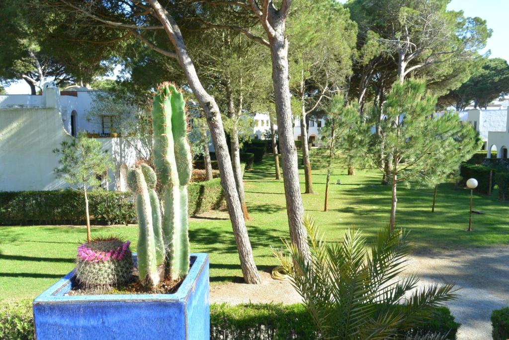 Fotografia z galérie ubytovania Casas en Piverd del Golf v destinácii Pals