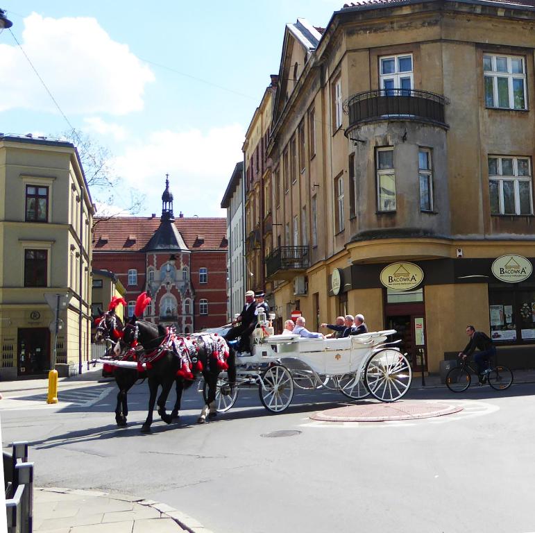 Apartament Arkadia na Kazimierzu - 5