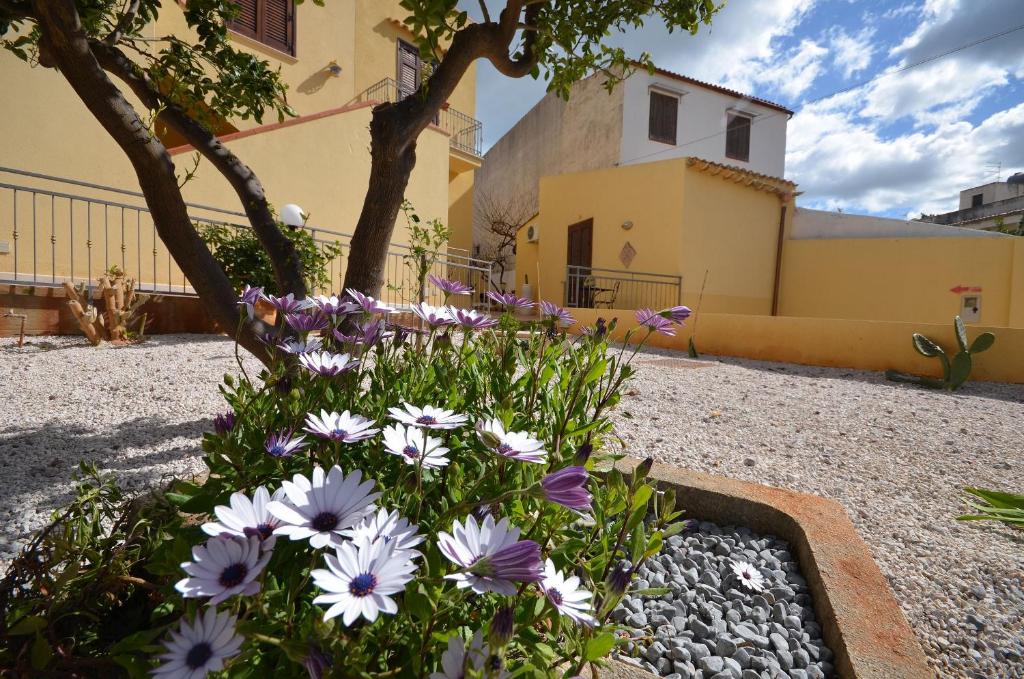 Zahrada ubytování B&B Timpe Bianche