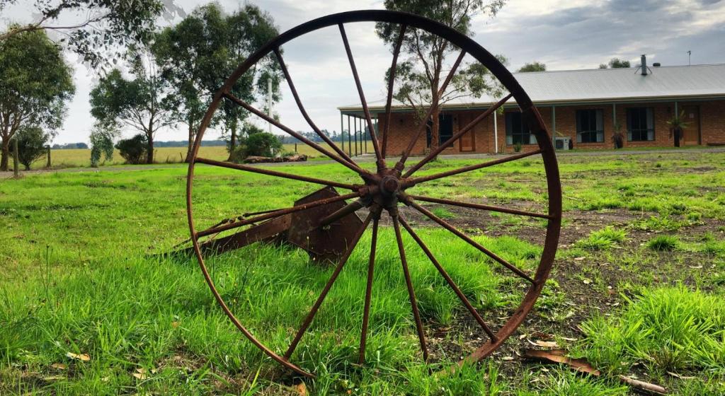 a metal object in the grass in front of a house at Ruby Rose in Simpson