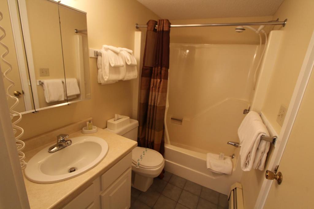 Village of Loon Mountain, a VRI resort - Loft De Deux Chambres