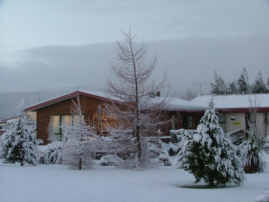 uma casa com árvores cobertas de neve em frente em Pukenui Lodge em National Park