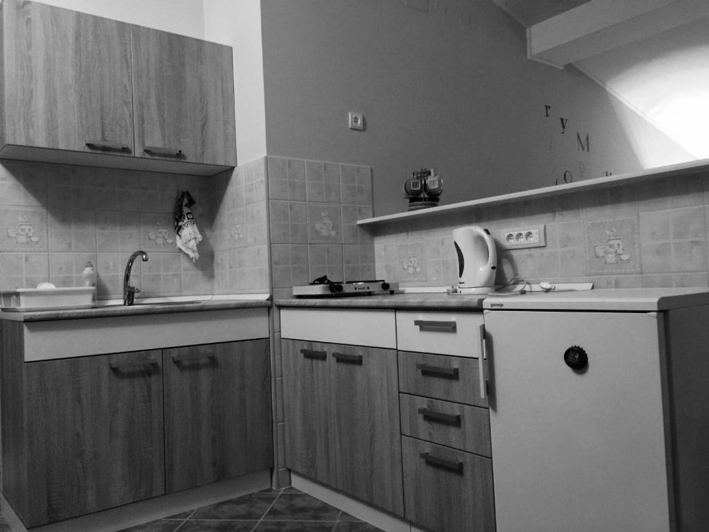 Virtuve vai virtuves zona naktsmītnē Apartments Kiki