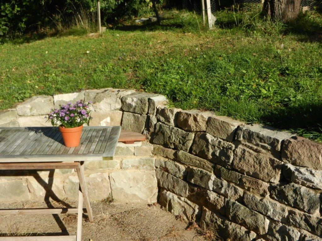 カッセルにあるAtelierの石壁の鉢植えのテーブル