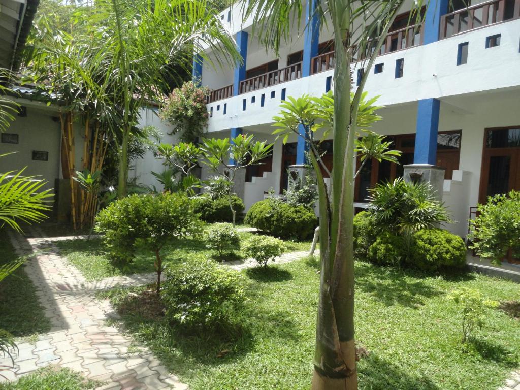 a garden in front of a building with a palm tree at Ocean Reach Holidays in Mirissa