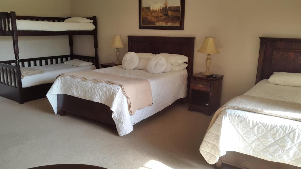 a bedroom with two beds and two bunk beds at Olive Hill Country Lodge in Bloemfontein