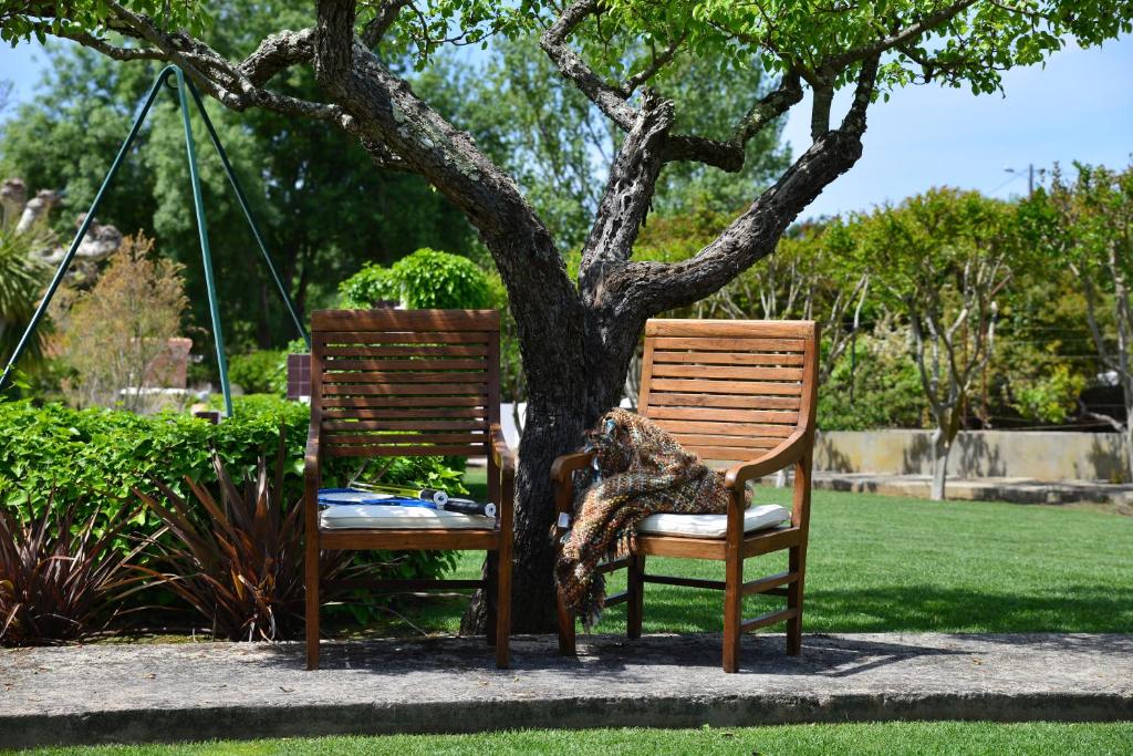 un gato sentado en una silla bajo un árbol en Quinta Villa Arrabida, en Vila Fresca