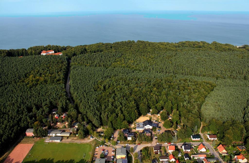 Příroda nedaleko hotelu