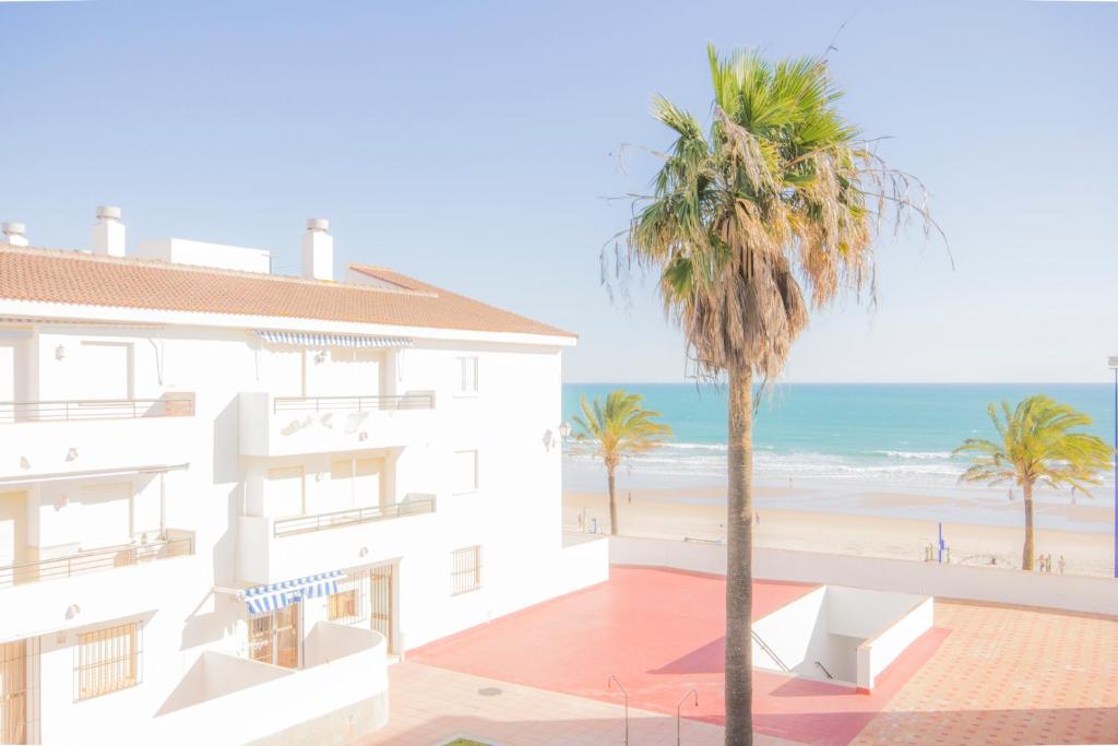 a building with a palm tree and the beach at Apartamentos Giralda in Chiclana de la Frontera