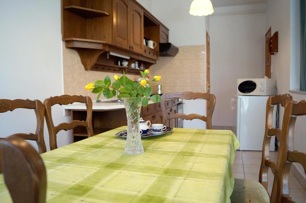 Kuchyň nebo kuchyňský kout v ubytování Arizona apartman