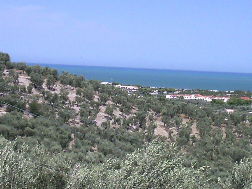 a view of a hill with trees and the ocean at B&B Villa Makkalè in Vieste