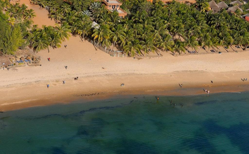 an overhead view of a beach with a group of people at Tama Lodge in Mbour