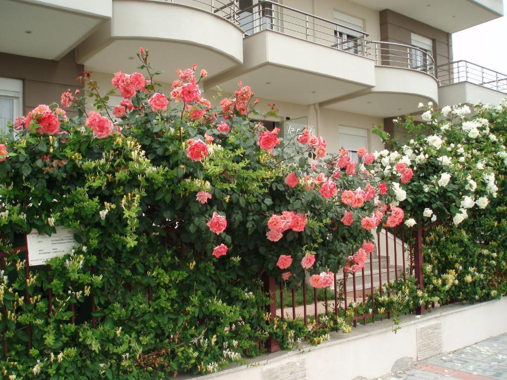 Petite Sirene Studios - 5