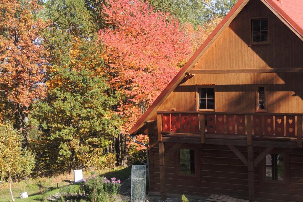 domek z bali z jesiennymi liśćmi na drzewach w obiekcie Dom na Końcu Świata w Polanicy Zdroju