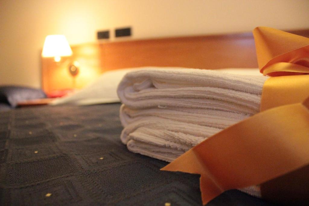 Postel nebo postele na pokoji v ubytování Lion's Hotel