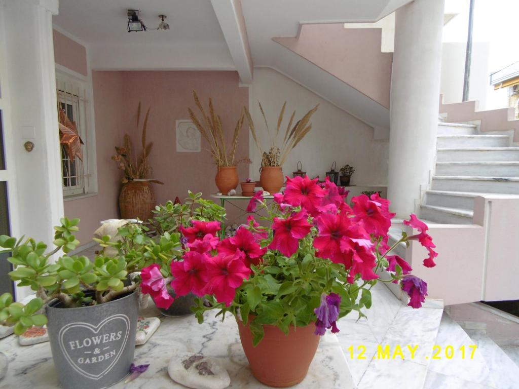 Fotografie z fotogalerie ubytování Spacious Apartment v destinaci Korint