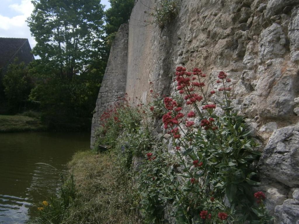 a stone wall with red flowers next to a river at Chateau de Chémery in Chémery