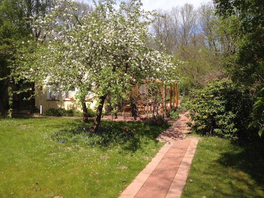 un árbol con flores blancas en un patio en Ferienhaus bei Berlin en Falkensee