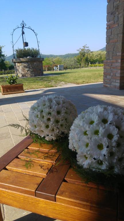 dos ramos de flores blancas sentados en un banco en Alloggio Franciscus, en Arquà Petrarca