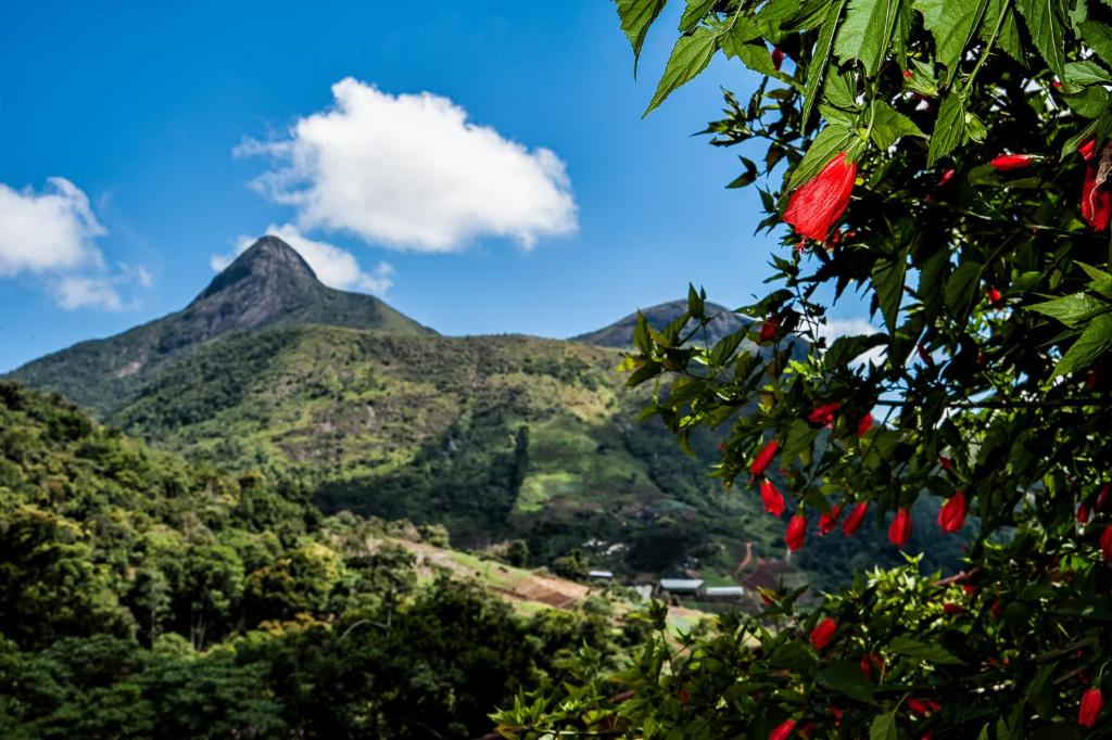 Pousada Paraíso Açú - 