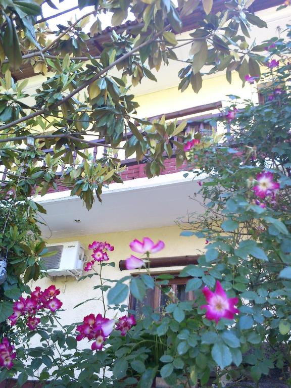 Zahrada ubytování Hotel Polydrosos