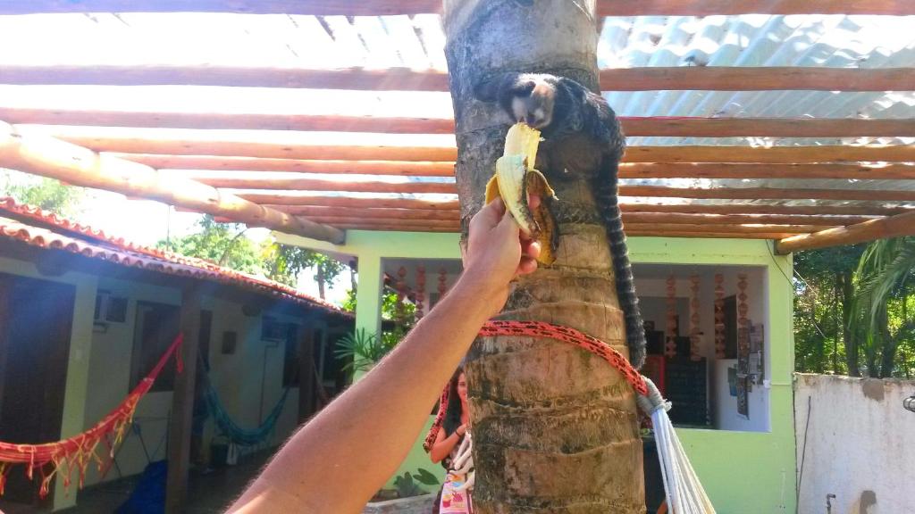  Pousada Tikuna