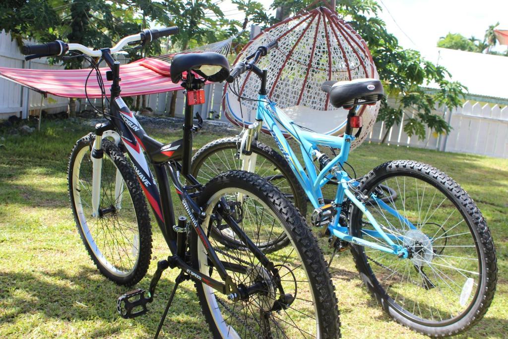 Jízda na kole v ubytování Yogi-Homestay nebo okolí