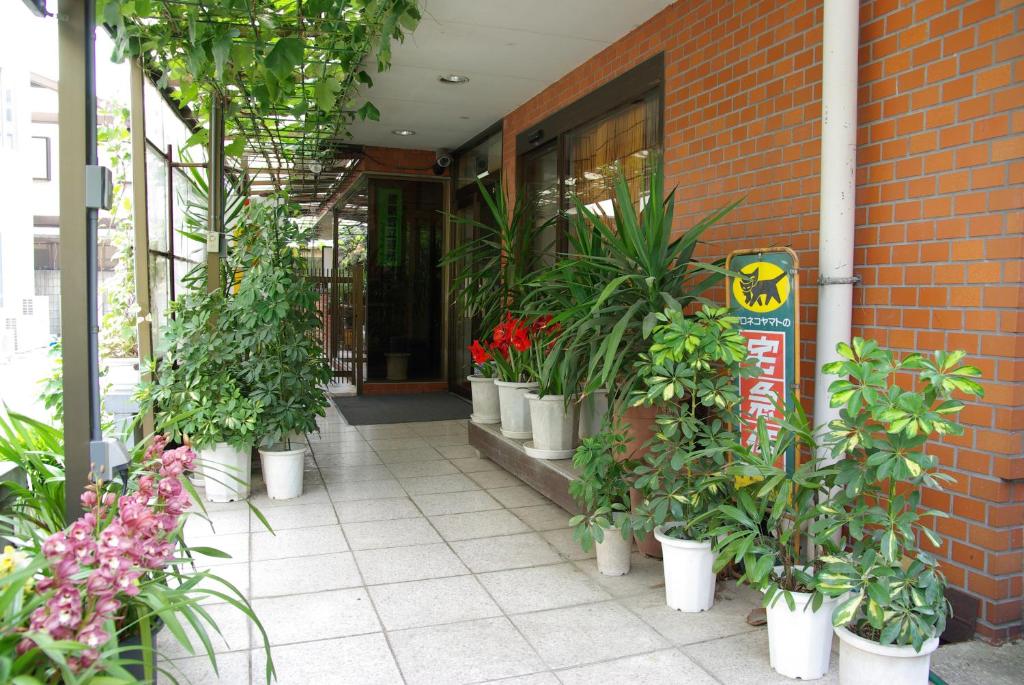 um grupo de vasos de plantas sentados fora de um edifício em Business Hotel Century em Nara
