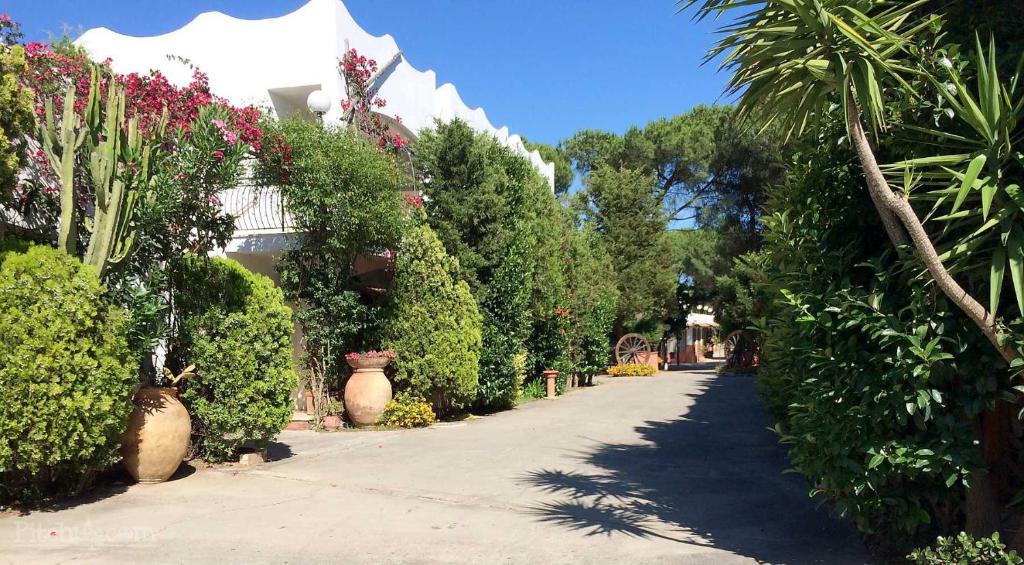 uma passarela alinhada com plantas e flores num jardim em Camping Calabrisella em Borgia