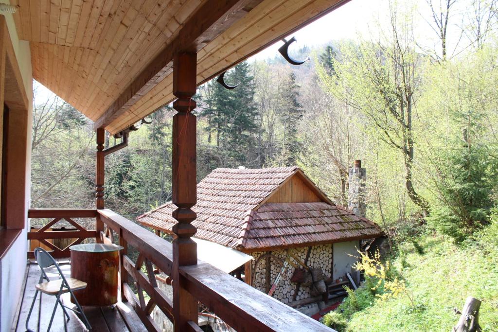 Příroda nedaleko hotelu