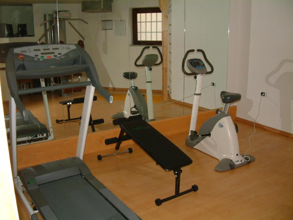 Fitness centrum a/nebo fitness zařízení v ubytování Hotel Cova