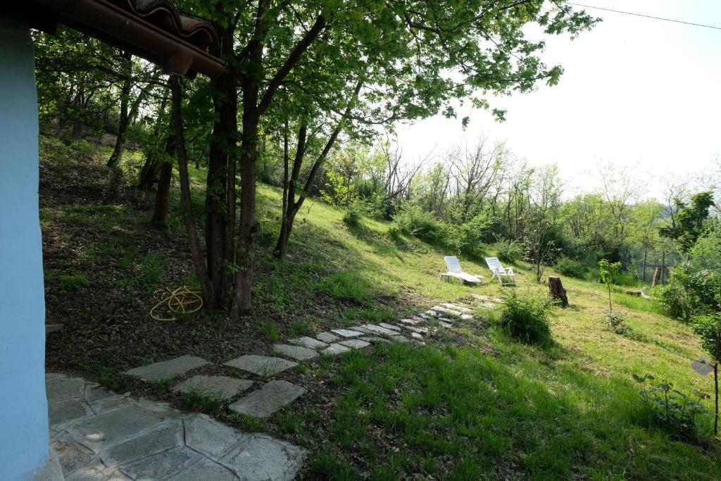 Příroda nedaleko apartmánu