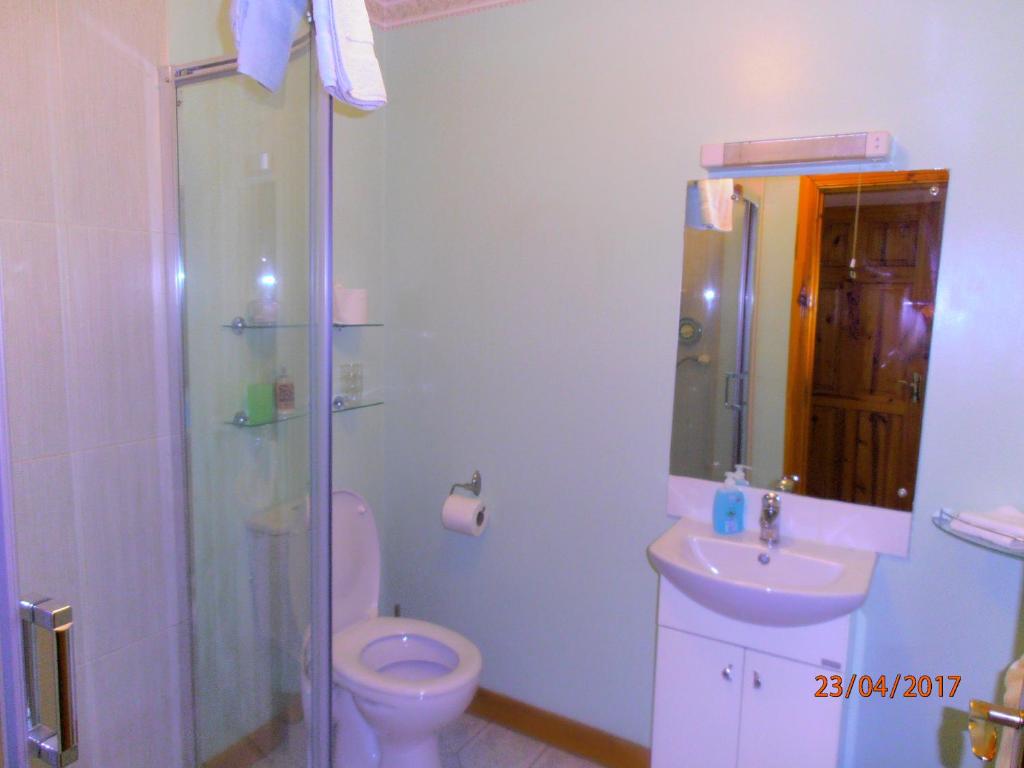 Koupelna v ubytování Larkfield House B&B, Ballycasheen Kerry V93 WD51