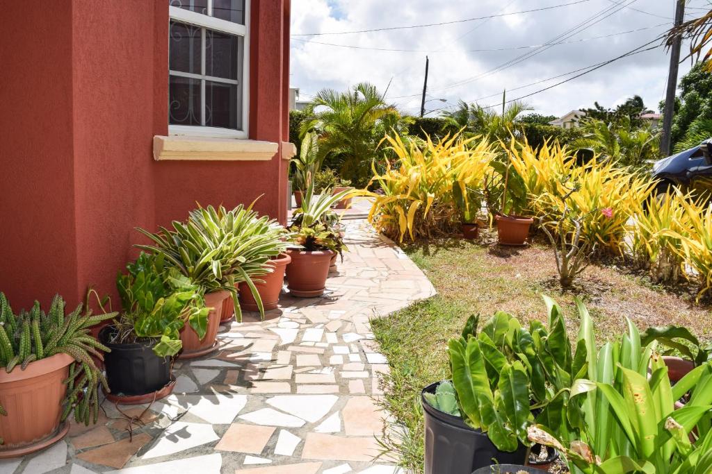 a garden with potted plants next to a house at Glynver Apartments in Christ Church