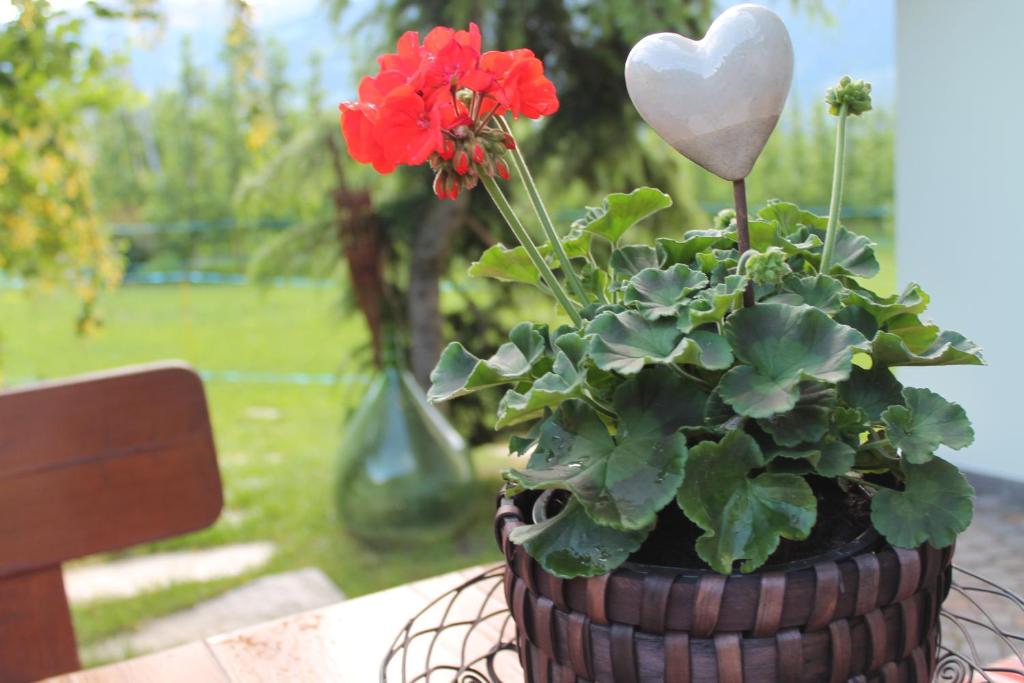 Zahrada ubytování Untermairhof B&B Christine