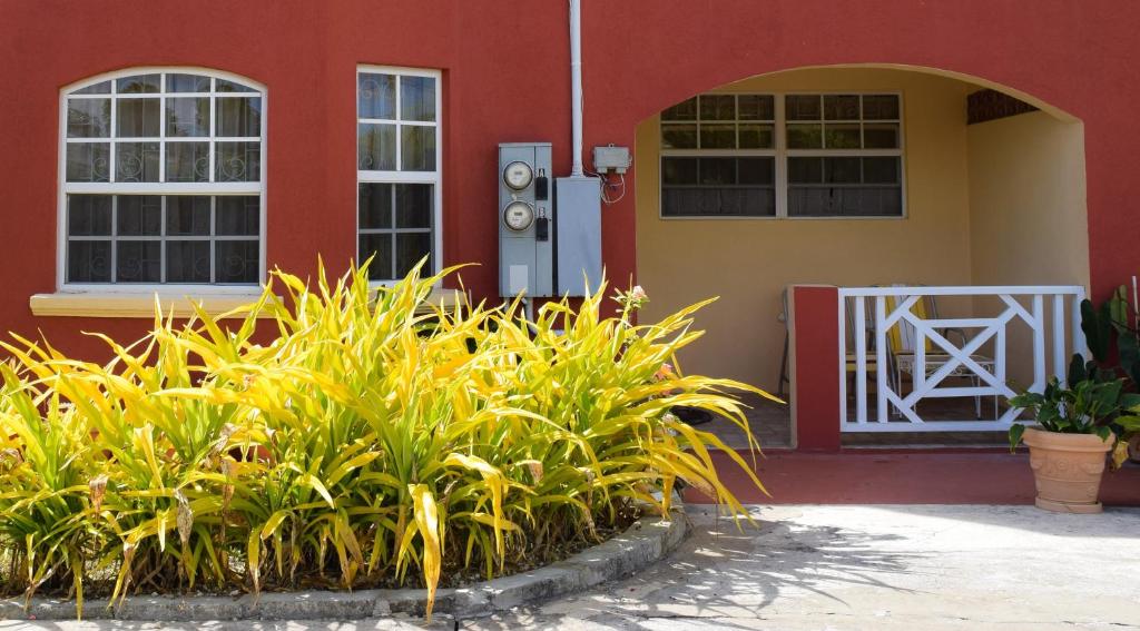 a red and yellow building with plants in front of it at Glynver Apartments in Christ Church