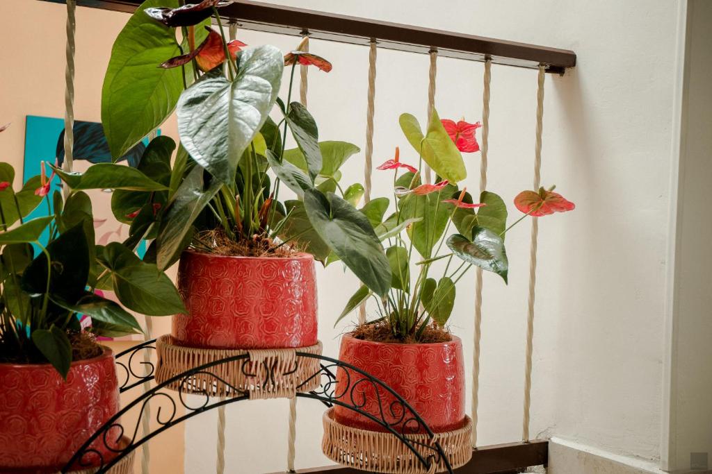 Fotografie z fotogalerie ubytování Casa Borbon v destinaci Salento