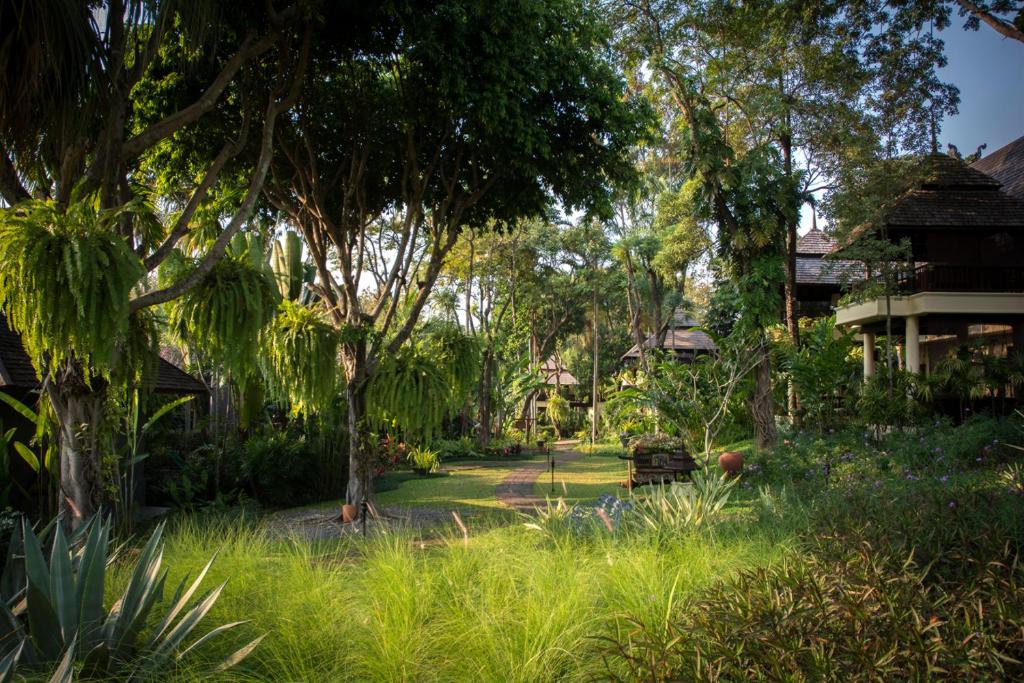 Four Seasons Resort Chiang Mai - 6
