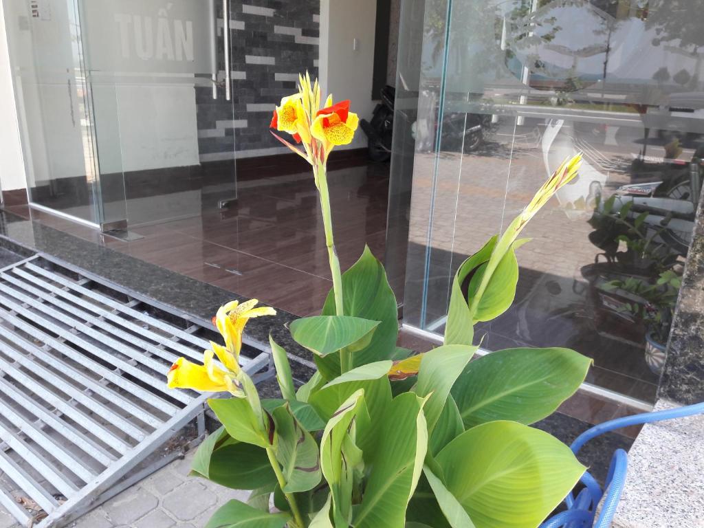 Fotografie z fotogalerie ubytování Motel Tuan Phuong v destinaci Danang