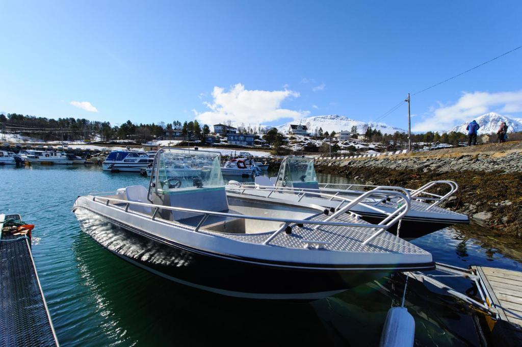 Fotografie z fotogalerie ubytování Vikran Vacation: Sea fishing and Northern Lights v destinaci Vikran