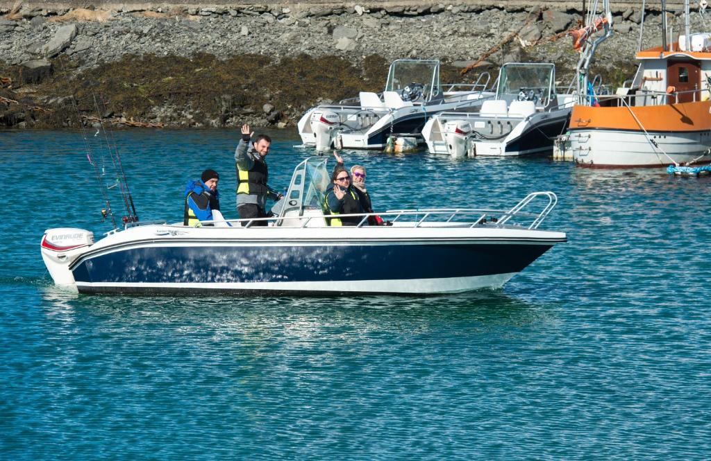 Fotografie z fotogalerie ubytování Vikran Vacation: Sea fishing and Northern Lights v destinaci Vikran
