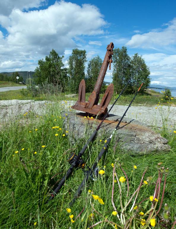 Fotografie z fotogalerie ubytování Vikran Vacation: Sea fishing and Northern Lights v destinaci Vikran