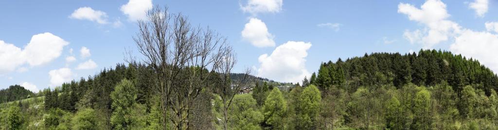 Agroturystyka Chmiel - 19