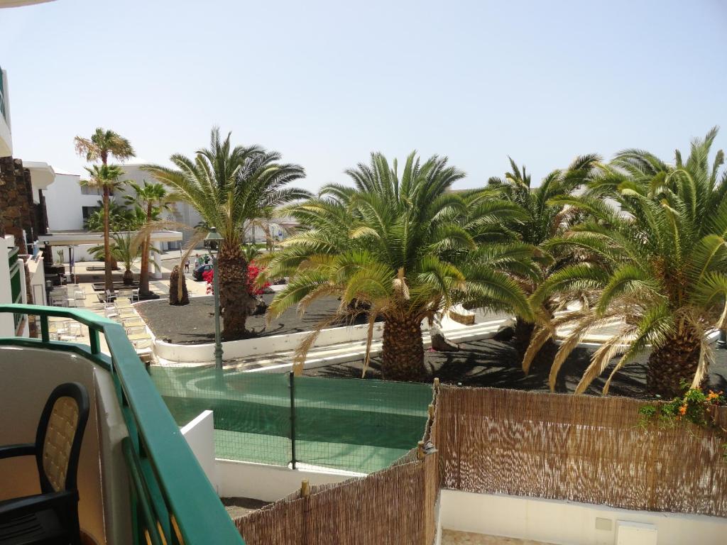 a view of a swimming pool with palm trees at Apartamento Tahiche in Costa Teguise