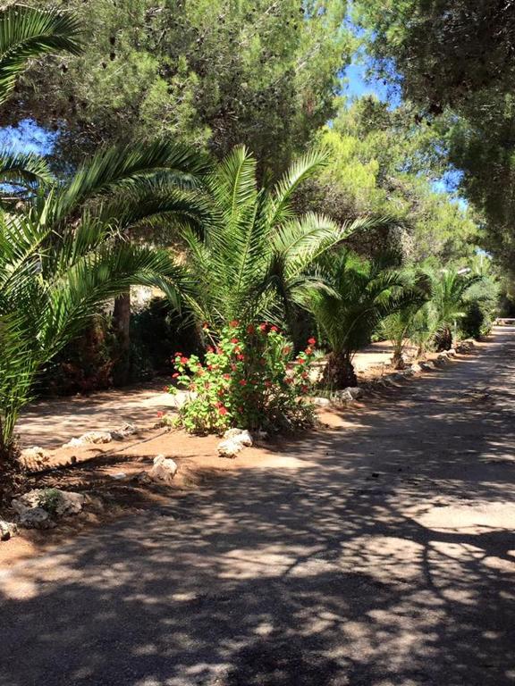 Zahrada ubytování Camping Cala dei Ginepri
