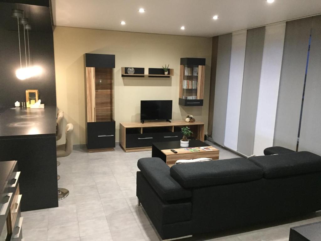 uma sala de estar com um sofá preto e uma televisão em Appartement des trois frontières em Apach